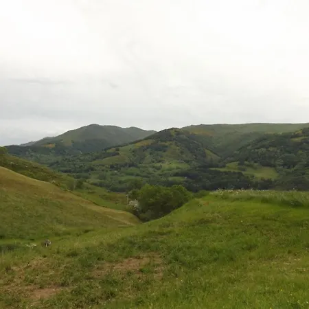 Σπίτι διακοπών Evasion En Montagne Dans Charme Authentique, Cheminee, Pres Des Volcans D'auvergne, Jardin Prive. - Fr-1-742-254